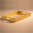 Pemberly Row Labai Shagreen Tray with Gold Overlay and Center Mirror