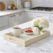 Pemberly Row Labai White Gold Shagreen Tray with Decorative Mirror