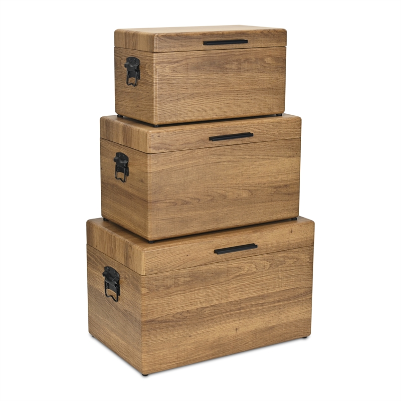 Pemberly Row Set of 3 Brown Storage Trunks with Black Handles