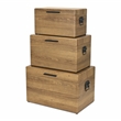 Pemberly Row Set of 3 Brown Storage Trunks with Black Handles