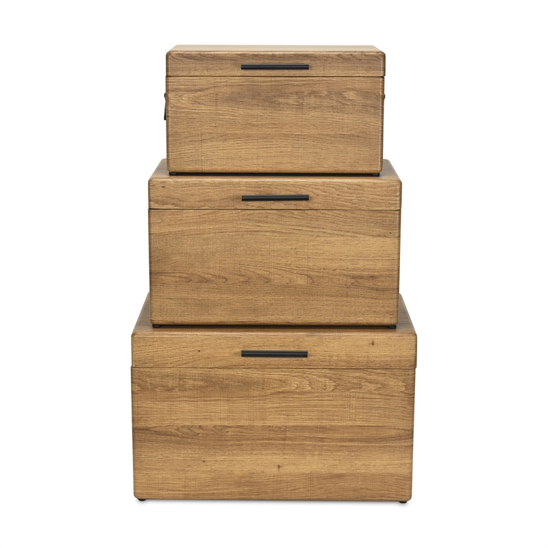 Pemberly Row Set of 3 Brown Storage Trunks with Black Handles