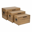 Pemberly Row Set of 3 Brown Storage Trunks with Black Handles