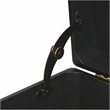 Pemberly Row Set of 3 Black Storage Trunks with Gold Handles