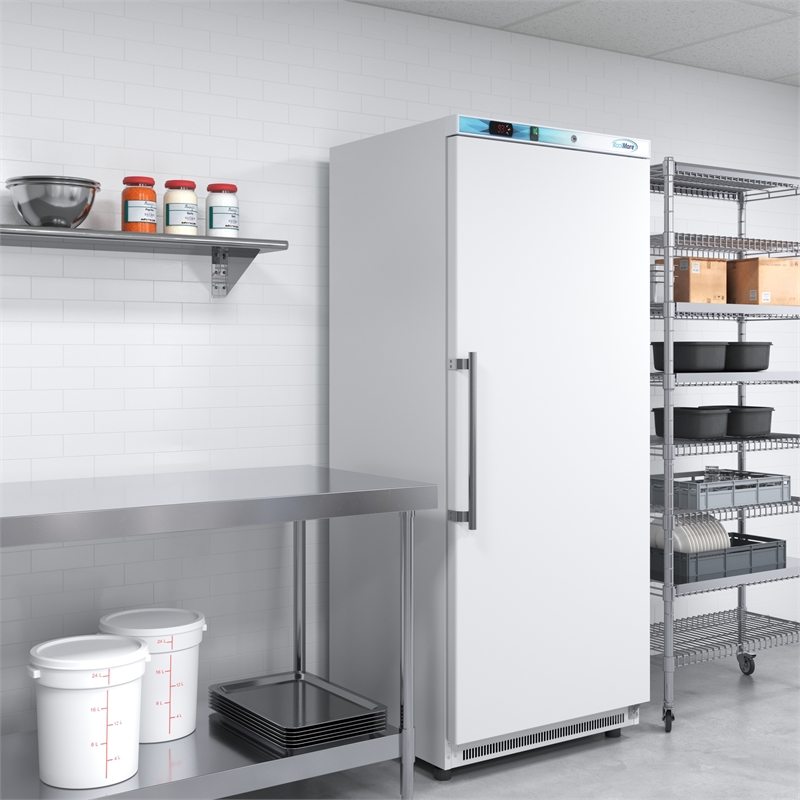 Pemberly Row 20 cu. ft. Reach-in Refrigerator in White with Manual Defrost
