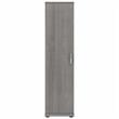 Pemberly Row 16W x 17D x 62H Narrow Clothing Storage Cabinet in Platinum Gray