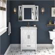 Pemberly Row 24W Bathroom Vanity Sink With Medicine Cabinet & Mirror - White Ash