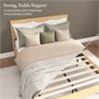 Pemberly Row Premium Wood Queen Platform Bed & Dresser & 2 Nightstands