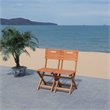 Pemberly Row Eucalyptus Wood Outdoor Folding Chair in Natural (Set of 2)