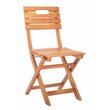 Pemberly Row Eucalyptus Wood Outdoor Folding Chair in Natural (Set of 2)