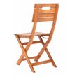 Pemberly Row Eucalyptus Wood Outdoor Folding Chair in Natural (Set of 2)