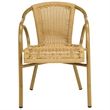 Pemberly Row Rattan Indoor/Outdoor Arm Chairs in Natural (Set of 2)