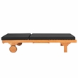 Pemberly Row Mid-Century Wood Lounge Chair in Natural / Black