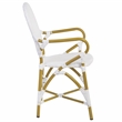 Pemberly Row Coastal Wood and Metal Arm Chair in White Finish