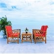 Pemberly Row Transitional Wood 4Pc Outdoor Set in Natural / Red
