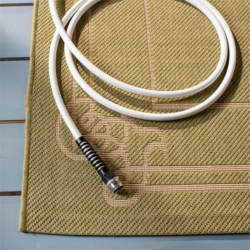 Pemberly Row Indoor Outdoor Runner Rug in Green - 2'7