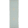 Pemberly Row Indoor Outdoor Runner Rug in Aqua - 2'7