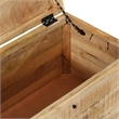 Pemberly Row Medium Solid Rough Mango Wood Storage Chest in Brown
