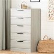 Pemberly Row Engineered Wood Contemporary 5-Drawer Chest in Winter Oak