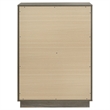 Pemberly Row Contemporary 4-Drawer Chest of Drawers Gray Oak
