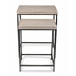 Pemberly Row Contemporary Set of 2 White Washed Nesting Tables