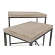 Pemberly Row Contemporary Set of 2 White Washed Nesting Tables