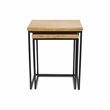 Pemberly Row Modern Set of 2 Rectangular Wood and Metal Side Tables