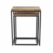 Pemberly Row 2 Piece Side Wood Top and Metal Frame Table Set