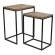 Pemberly Row 2 Piece Side Wood Top and Metal Frame Table Set