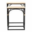 Pemberly Row Set of 2 Rattan Accented Wood and Metal Rectangle Side Tables