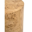 Pemberly Row Poplar Burl Veneer Accent Table 18