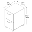 Pemberly Row Engineered Wood 2-Drawer Mobile File Cabinet in Hansen Cherry