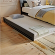 Pemberly Row Twin Solid Wood Platform Bed with Twin Trundle in Black