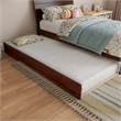 Pemberly Row Twin Solid Wood Platform Bed with Twin Trundle in Walnut