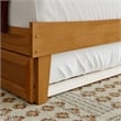 Pemberly Row Twin XL Solid Wood Platform Bed with Trundle in Light Toffee