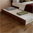 Pemberly Row Twin XL Solid Wood Platform Bed with Trundle in Walnut