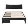 Pemberly Row Queen Solid Wood Platform Bed with Storage Drawers in Black