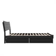 Pemberly Row Queen Solid Wood Platform Bed with Storage Drawers in Black