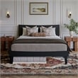 Pemberly Row Queen Solid Wood Platform Bed with Trundle in Black