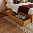 Pemberly Row Twin XL Wood Platform Bed with Storage Drawers in Light Toffee