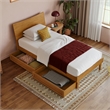 Pemberly Row Twin XL Wood Platform Bed with Storage Drawers in Light Toffee