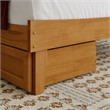 Pemberly Row Twin XL Wood Platform Bed with Storage Drawers in Light Toffee