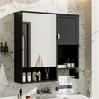 Pemberly Row Wall Mounted Bathroom Medicine Cabinet with Mirror & Towel Bar