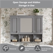 Pemberly Row Wall Mounted Bathroom Medicine Cabinet with Mirror & Open Shelves