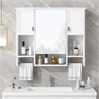 Pemberly Row Wall Mounted Bathroom Medicine Cabinet with Mirror & Towel Bar