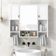 Pemberly Row Wall Mounted Bathroom Medicine Cabinet with Mirror & Towel Bar