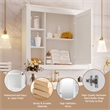 Pemberly Row White Wall Mounted Bathroom Medicine Cabinet with Mirror & Shelves
