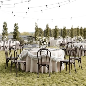 Pemberly Row Indoor/Outdoor Commercial Resin Thonet Style Chair in Dark Brown