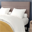 Pemberly Row Universal Fit Tufted Upholstered Queen Headboard in Taupe