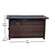 Pemberly Row Outdoor 50000 BTU Fire Table with Steel Top & Wicker Base in Black