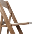 Pemberly Row 2-Pack Indoor/Outdoor Resin Folding Event Chair in Chestnut